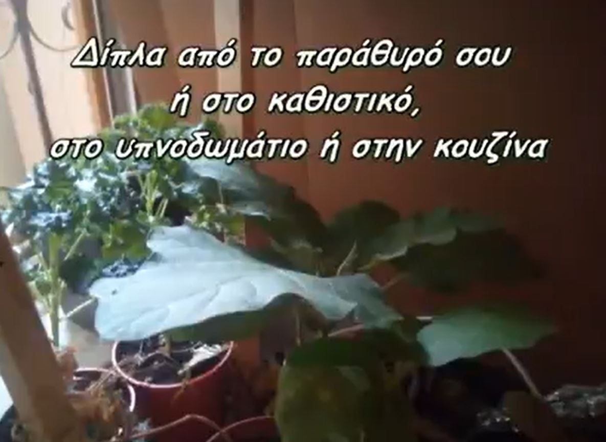Έξυπνο Σύστημα Διαχείρισης Φυτών με Αυτόματο Πότισμα και Παρακολούθηση
