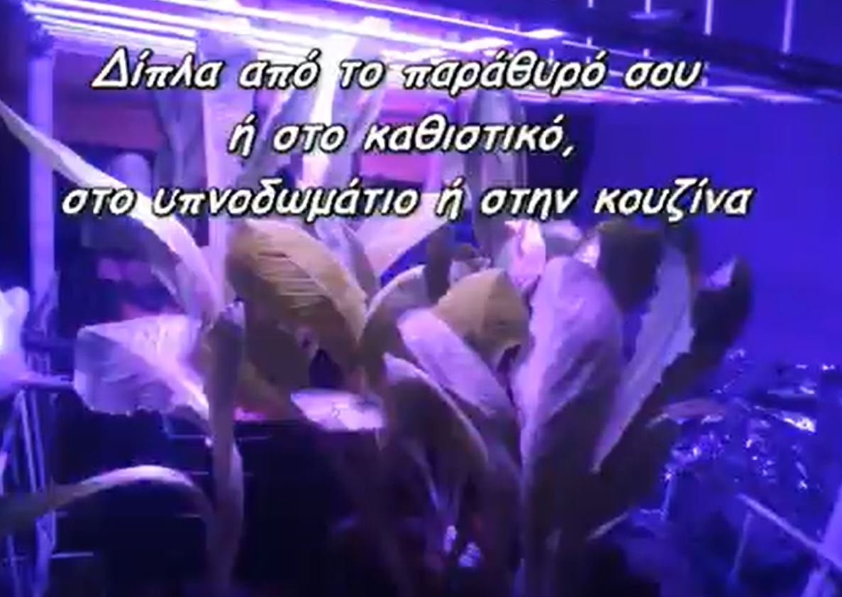 Έξυπνο Σύστημα Διαχείρισης Φυτών με Αυτόματο Πότισμα και Παρακολούθηση