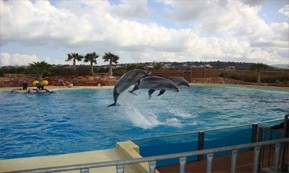TOURS FOR OUR LITTLE FRIENDS<br>Attica Zoological Park