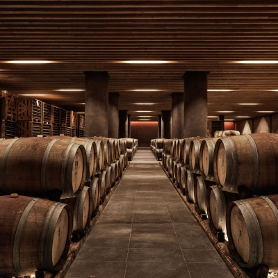 WINE TOUR EXPERIENCE photo3